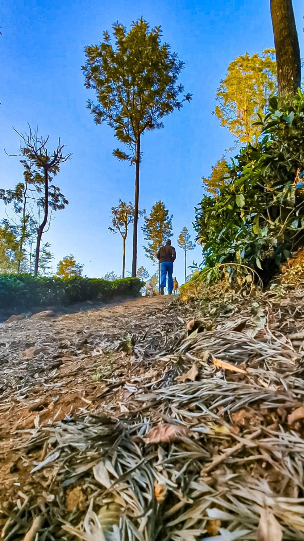 Valley View Inn, Kotagiri Dış mekan fotoğraf
